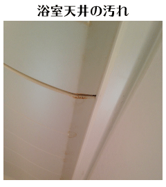 浴室天井の汚れ